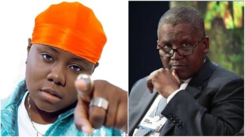 Watch || Dangote Take To The Dance Floor At A Teni’s Performance In New York