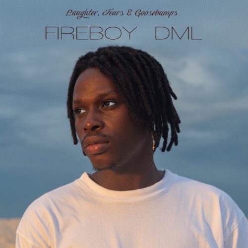 [Album] Fireboy DML – Laughter, Tears & Goosebumps
