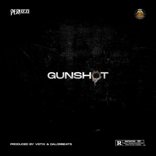 Download Music: Peruzzi – Gunshot