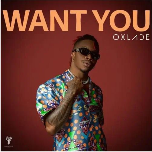 Download Music: Oxlade – Want You